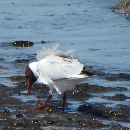 Appartamento Strandkueken
