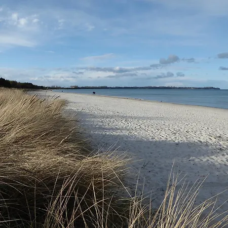 Strandküken